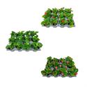 Afbeelding van Begonia P9 Divers
